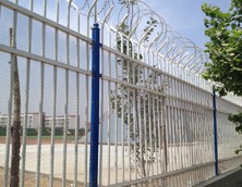 廠區(qū)鐵藝護(hù)欄 廠區(qū)鐵藝護(hù)欄